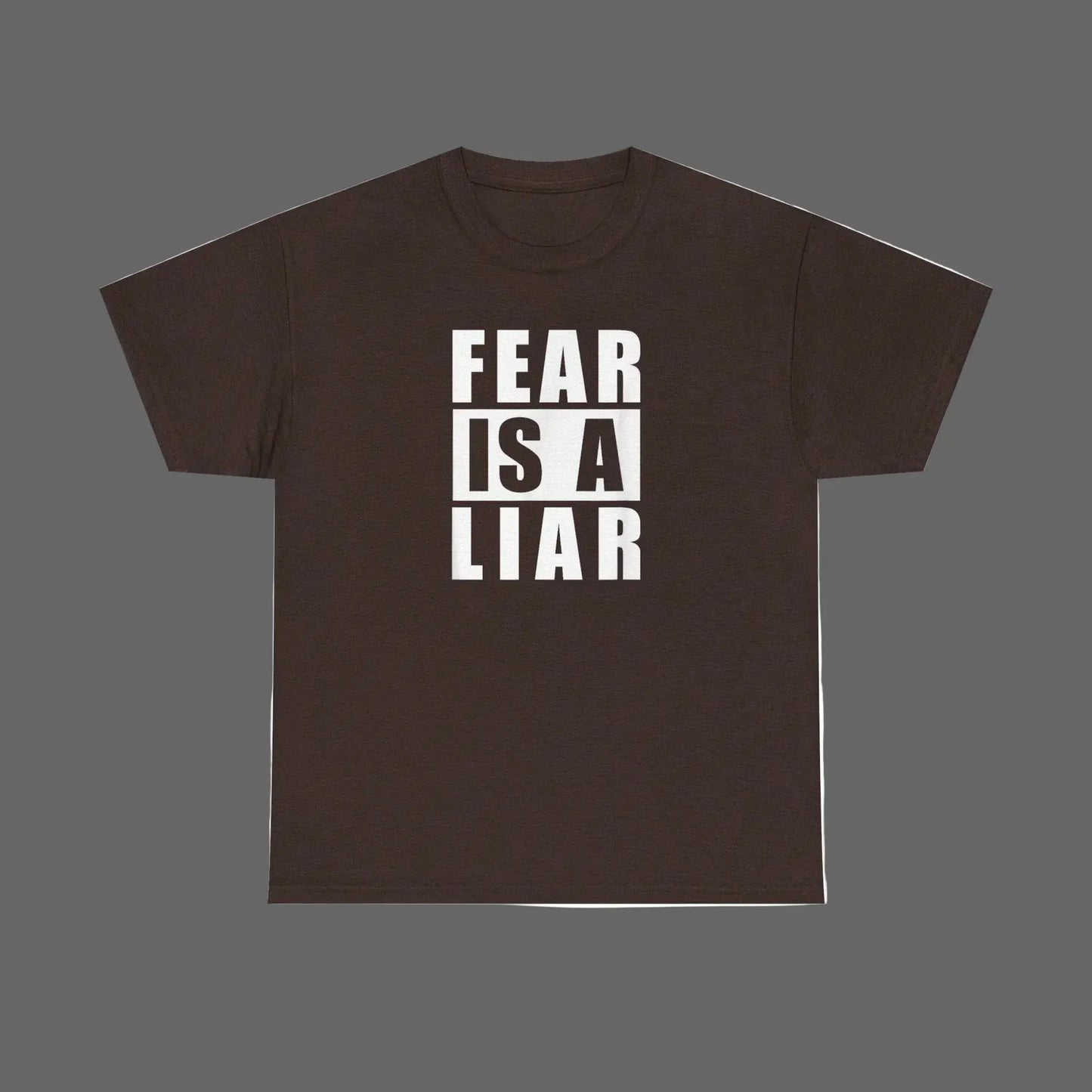 Fear Is A Liar T-Shirt — Motivational Graphic Tee - LiberTees for All