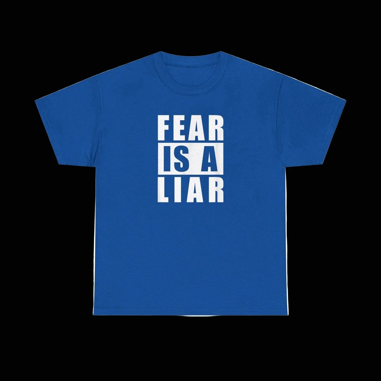 Fear Is A Liar T-Shirt — Motivational Graphic Tee - LiberTees for All